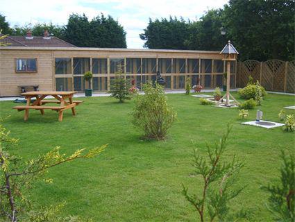 cattery-1